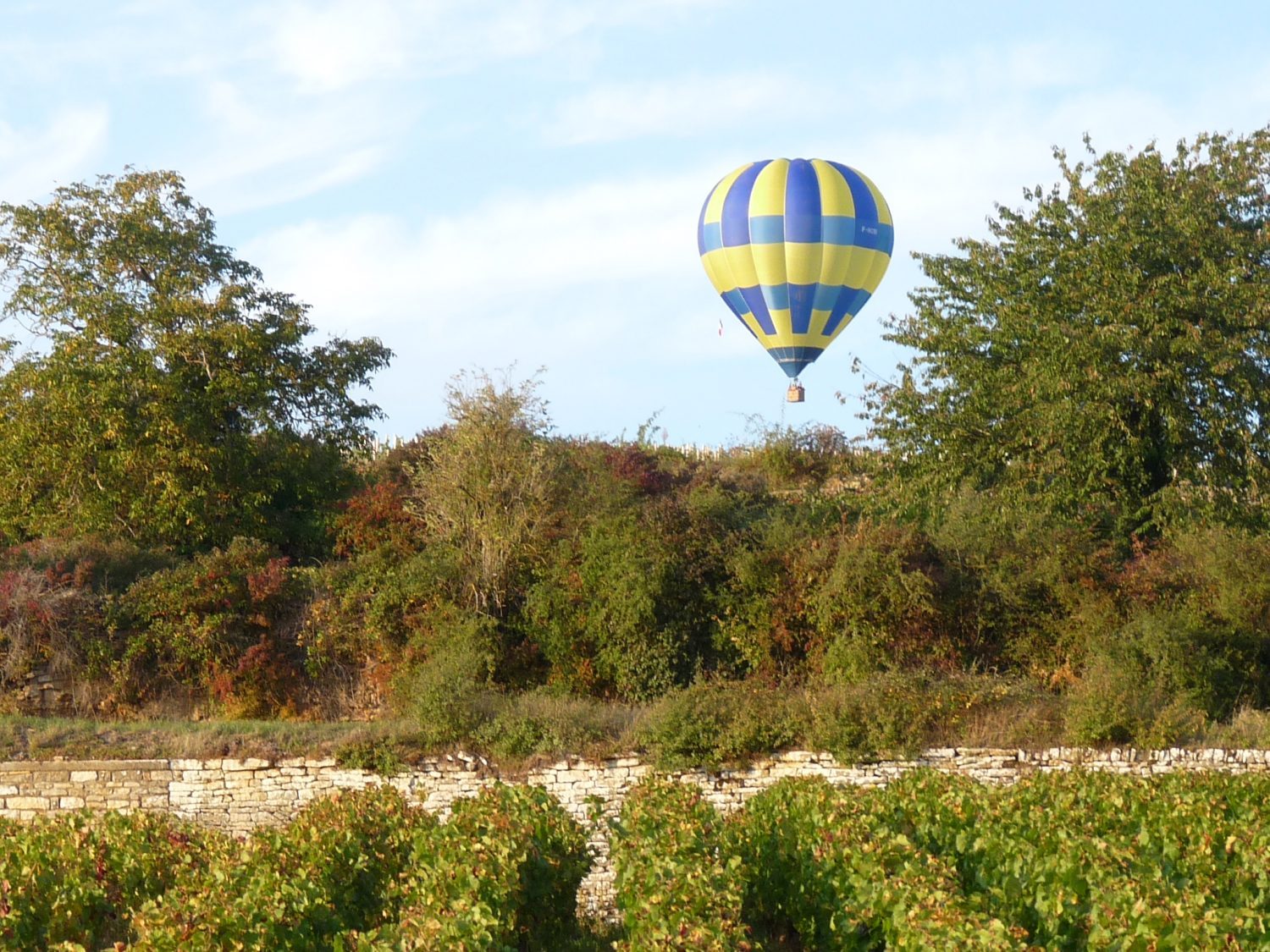 Vol en montgolfière au dessus du vignoble de Beaune
